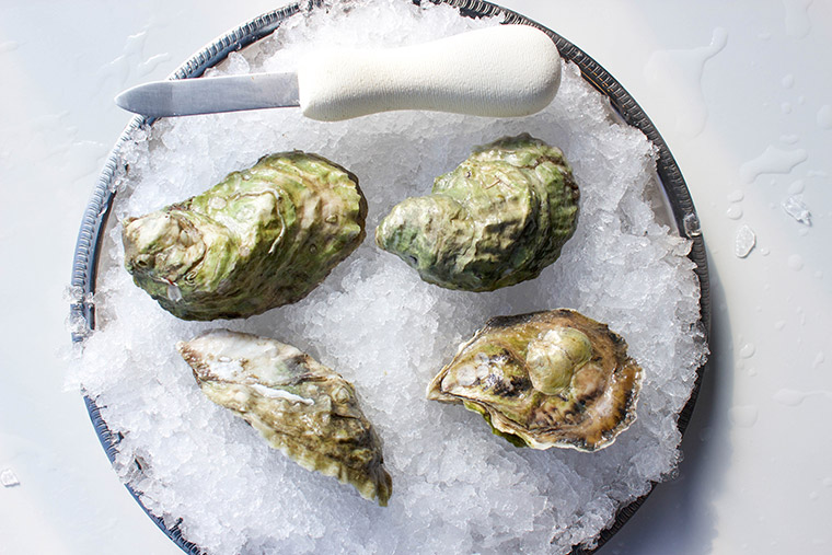 Deepwater Wellfleet Oyster — Oysterology Online Pangea Shellfish Company